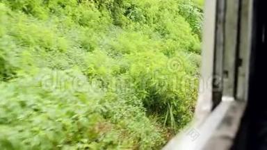 斯里兰卡Moutnain斜坡上生长的丛林森林的4k镜头直通车窗口